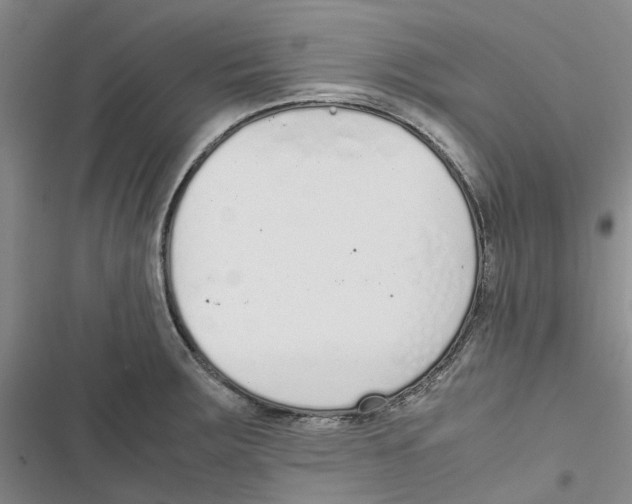 X0000116821283201001151157