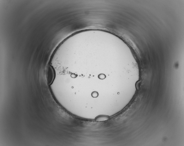 X0000116821284201001151157