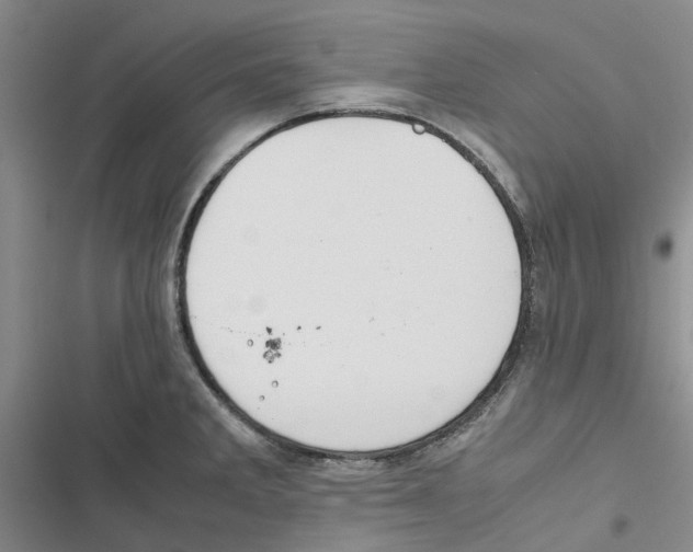 X0000116821285201001151157