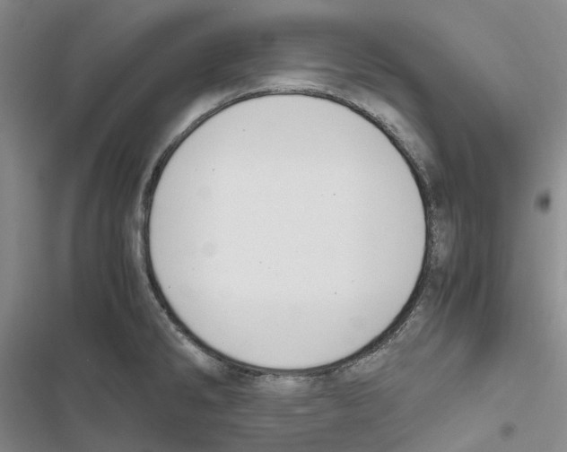 X0000116821286201001151157