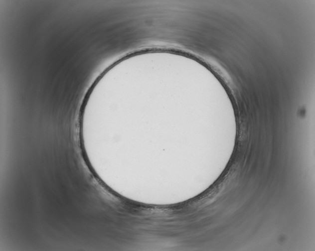 X0000116821287201001151157