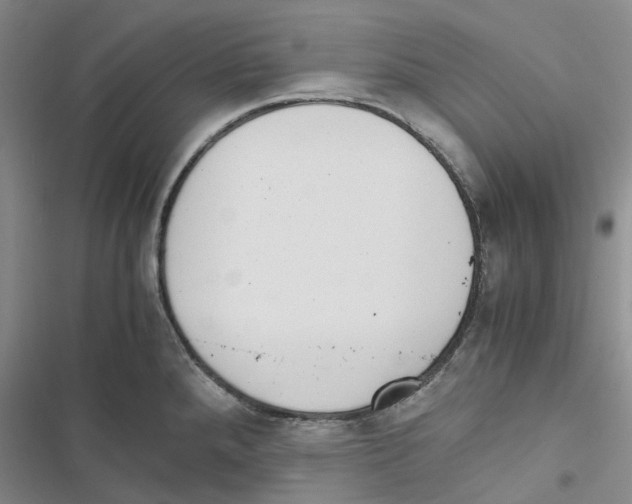 X0000116821288201001151157