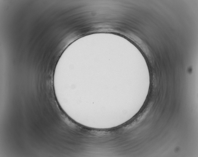 X0000116821289201001151157