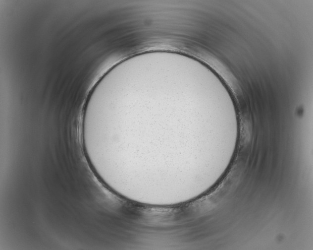 X0000116821290201001151157