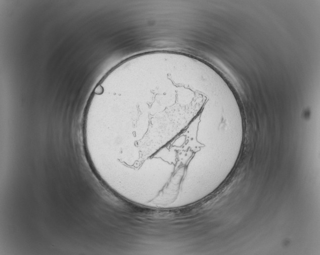 X0000116821291201001151157