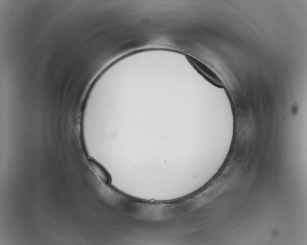 X0000116821292201001151157