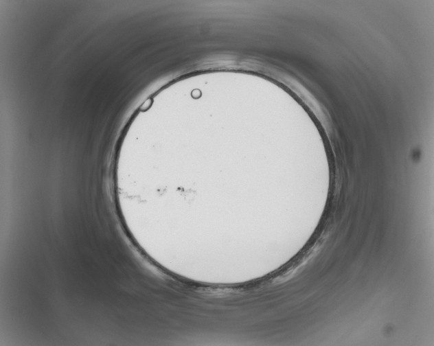 X0000116821293201001151157