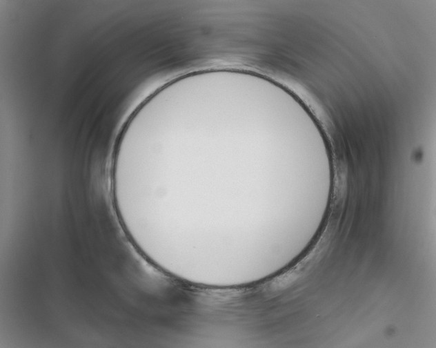 X0000116821294201001151157