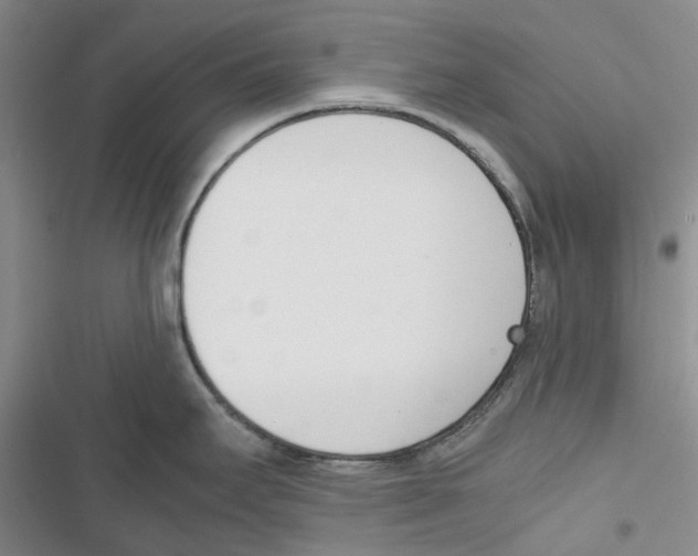 X0000116821295201001151157