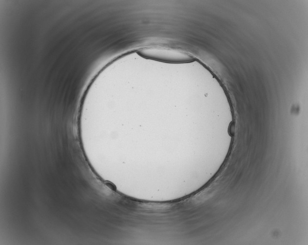 X0000116821296201001151157