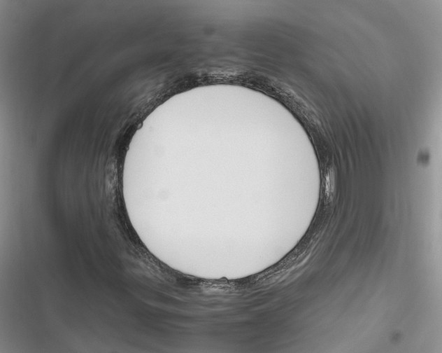 X0000116821299201001151156