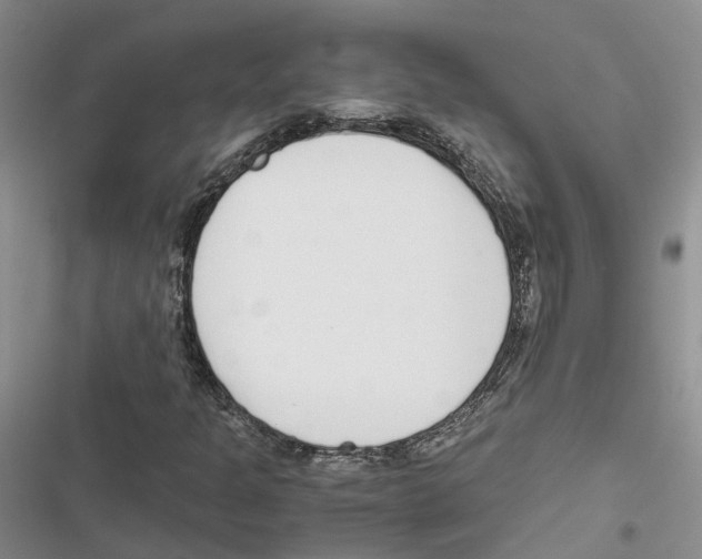 X0000116821301201001151156