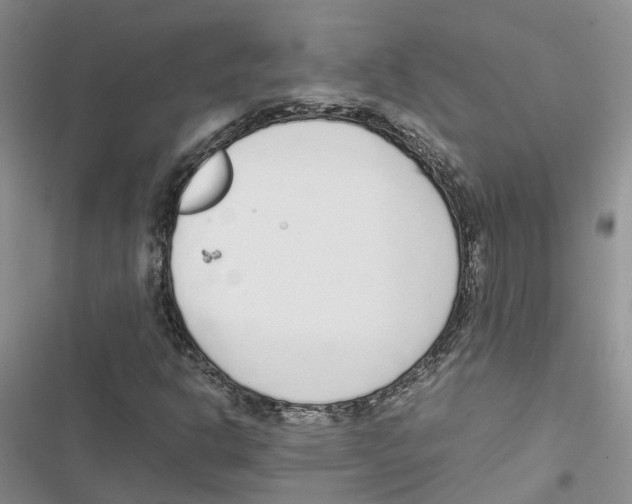 X0000116821302201001151156