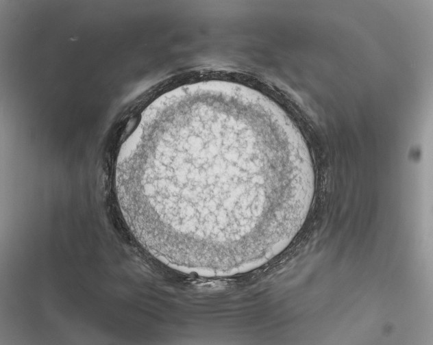 X0000116821303201001151156