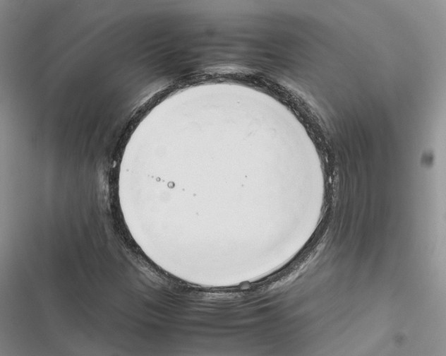 X0000116821305201001151156