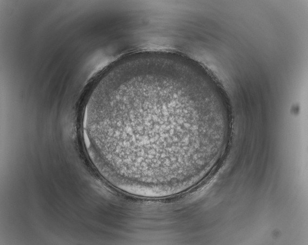 X0000116821306201001151156