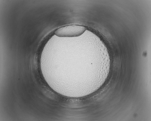 X0000116821310201001151156