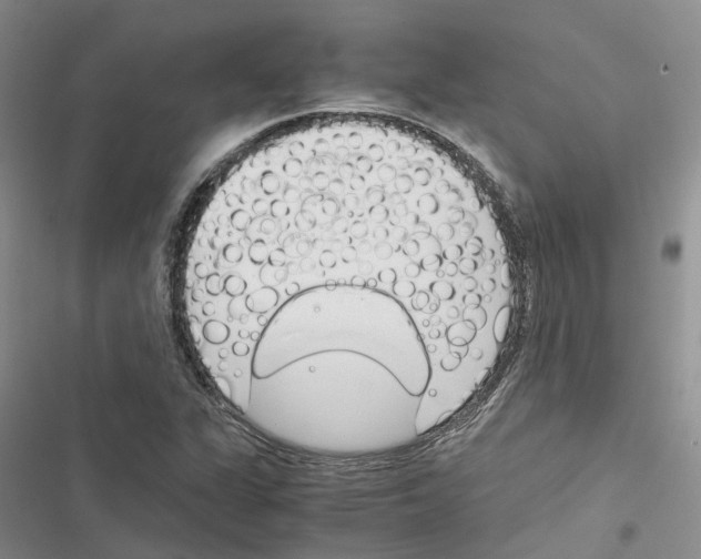 X0000116821311201001151156