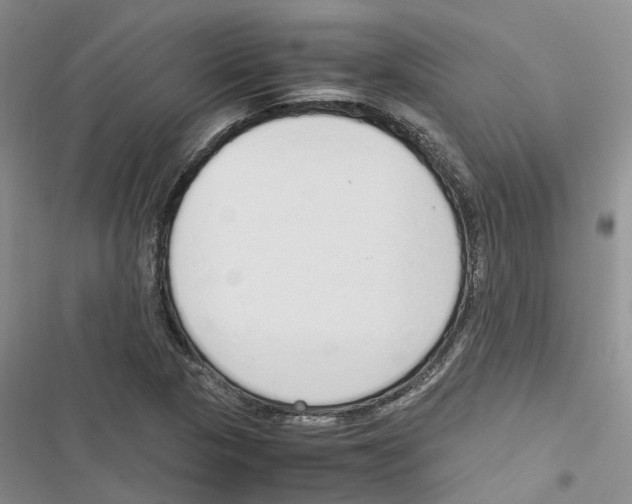 X0000116821313201001151156