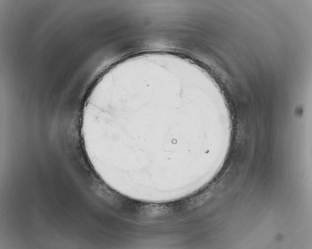 X0000116821314201001151156