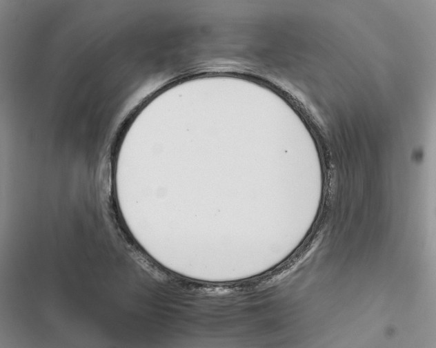 X0000116821317201001151156