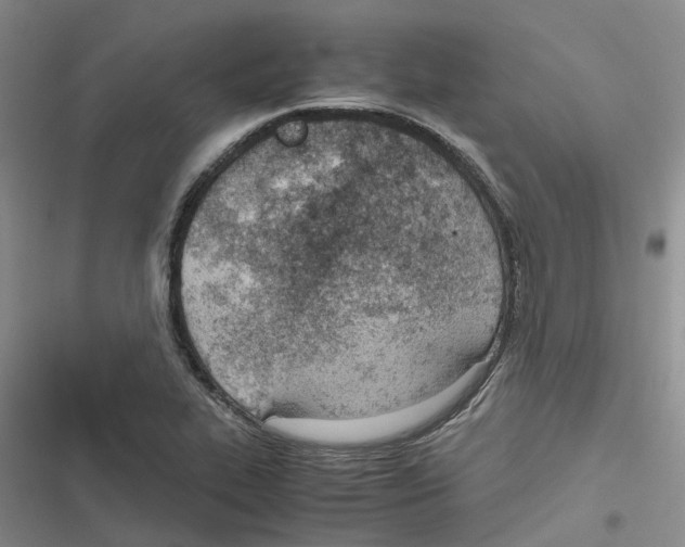 X0000116821319201001151156