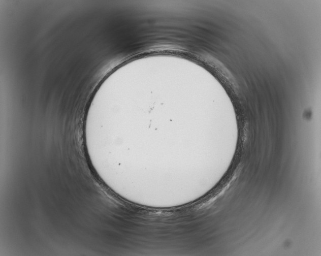 X0000116821321201001151156