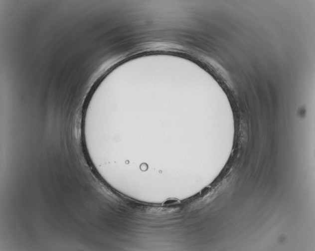 X0000116821322201001151156