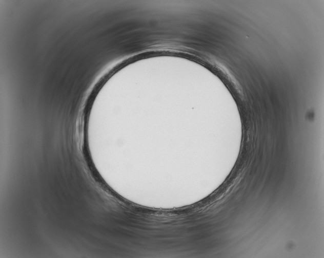 X0000116821323201001151156