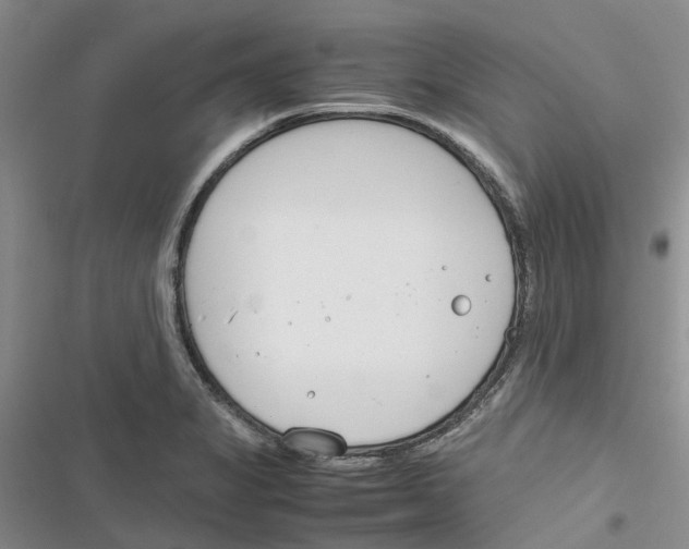 X0000116821325201001151156