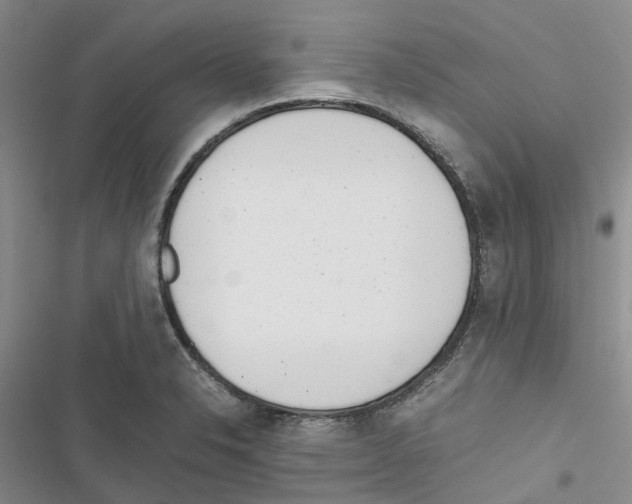 X0000116821326201001151156