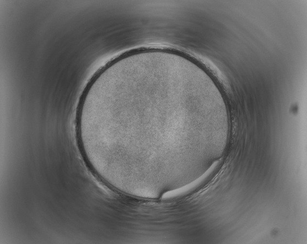 X0000116821327201001151156