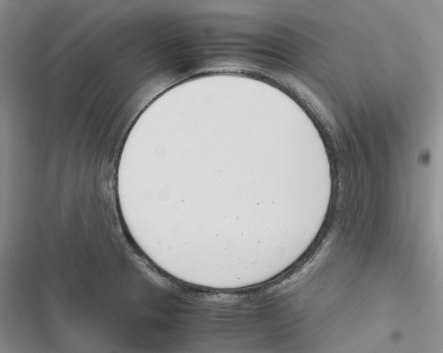 X0000116821329201001151156