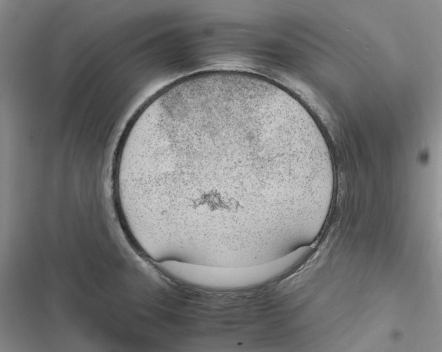 X0000116821331201001151156