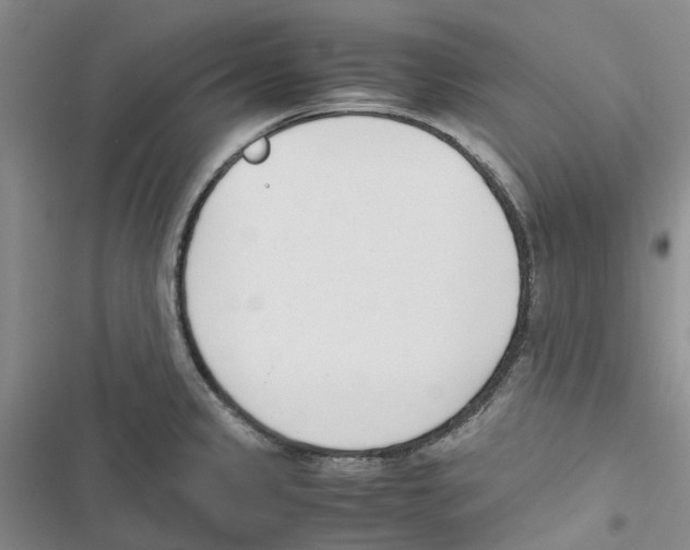 X0000116821333201001151156