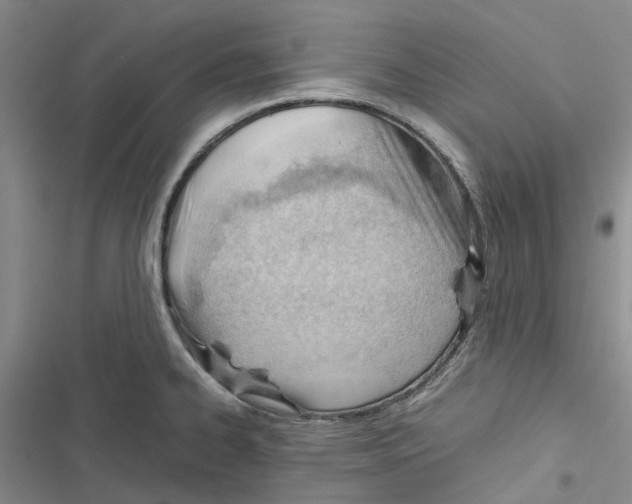 X0000116821334201001151156