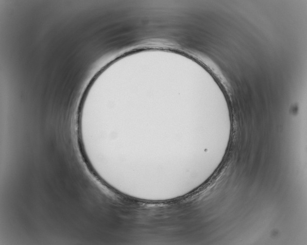 X0000116821335201001151157