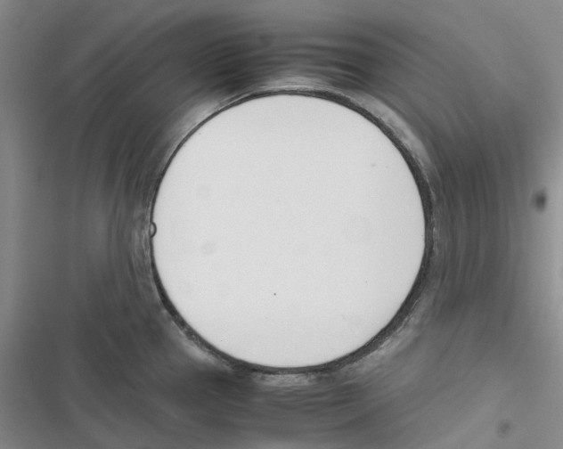 X0000116821337201001151157