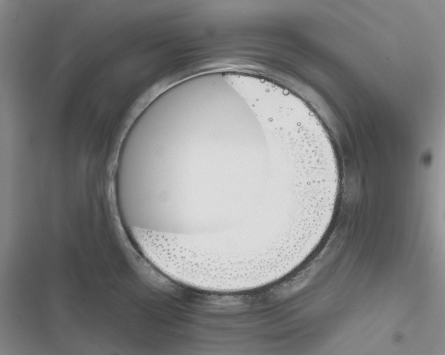 X0000116821338201001151157