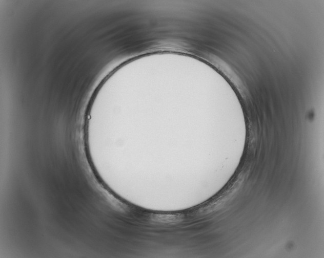 X0000116821339201001151157