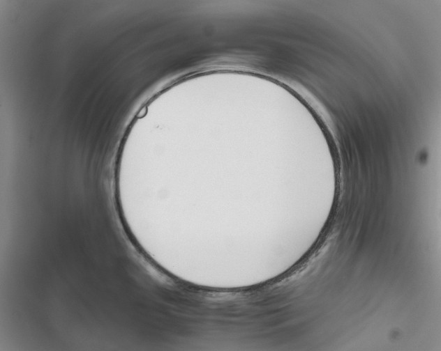 X0000116821341201001151157