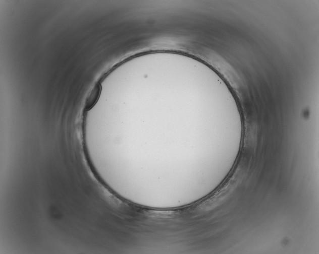 X0000116821342201001151157