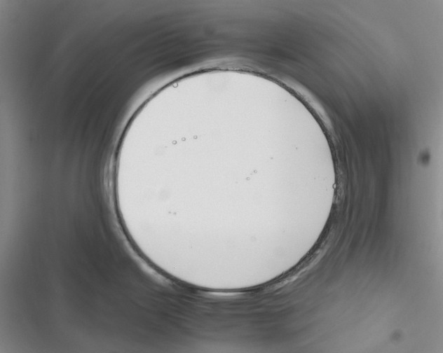 X0000116821343201001151157