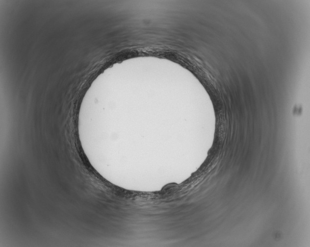 X0000116821345201001151156