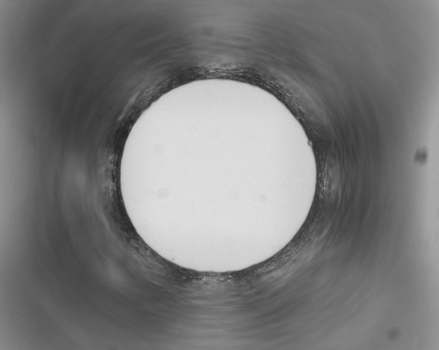 X0000116821346201001151156