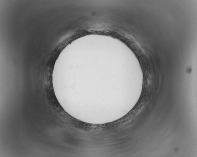 X0000116821350201001151156