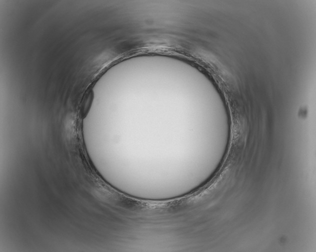 X0000116821353201001151156