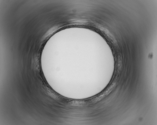 X0000116821354201001151156