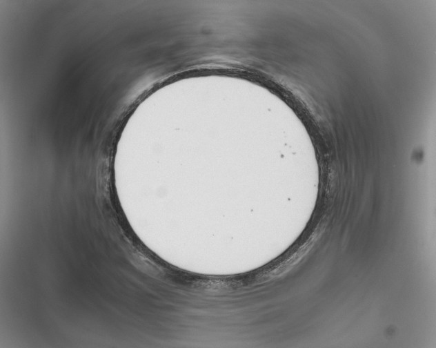 X0000116821355201001151156