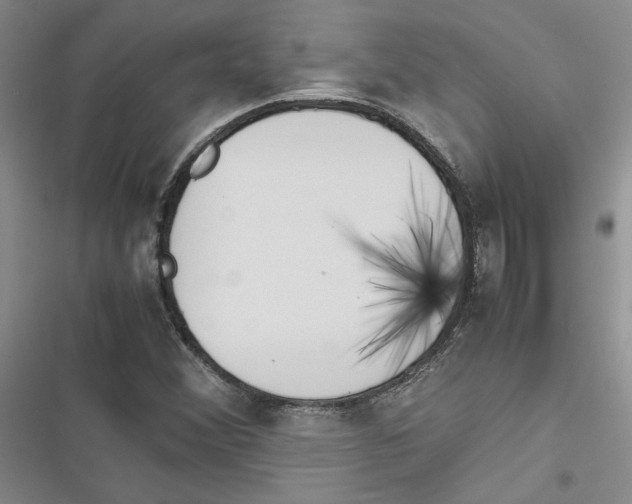 X0000116821356201001151156